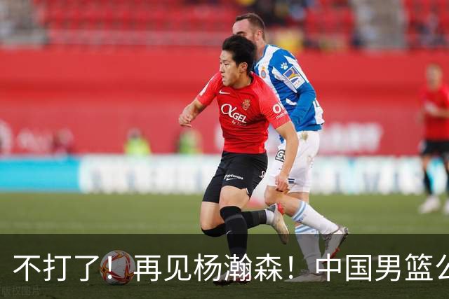 不打了！再见杨瀚森！中国男篮公布十二人名单