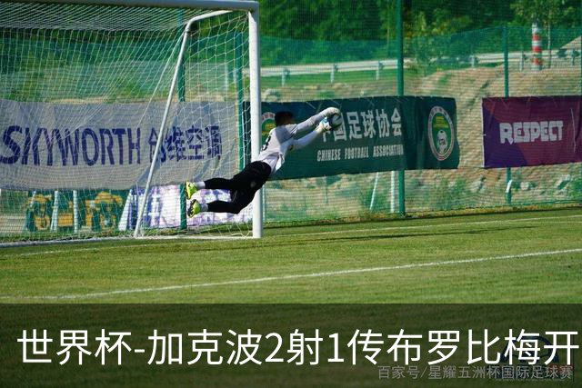 世界杯-加克波2射1传布罗比梅开二度 荷兰5-1大胜瑞典