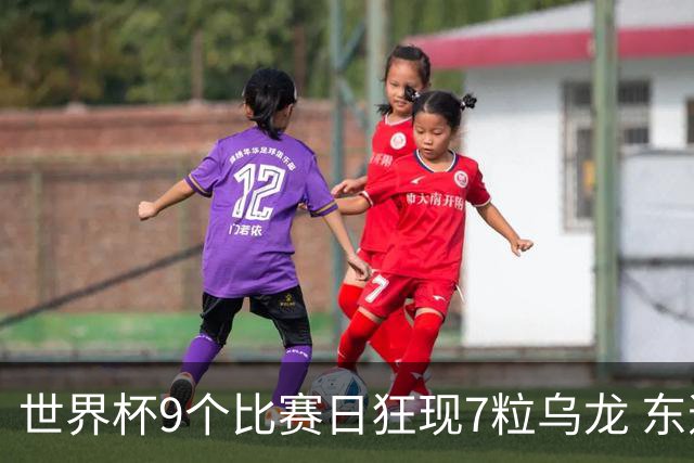 世界杯9个比赛日狂现7粒乌龙 东道主美国成最大受益者