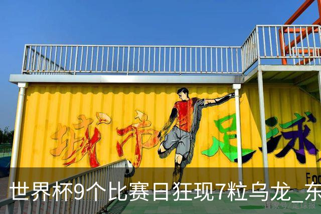 世界杯9个比赛日狂现7粒乌龙 东道主美国成最大受益者
