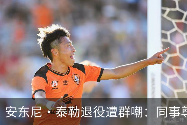 安东尼·泰勒退役遭群嘲：同事尊重球迷贬低，到底谁在妄想？