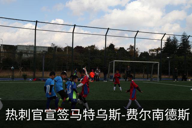 热刺官宣签马特乌斯-费尔南德斯 转会费8500万镑破纪录