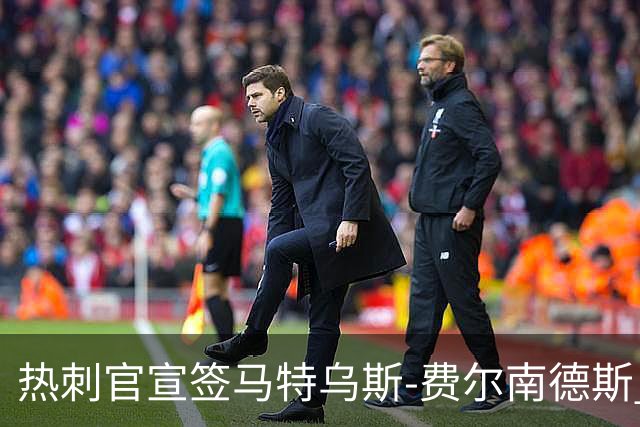 热刺官宣签马特乌斯-费尔南德斯 转会费8500万镑破纪录