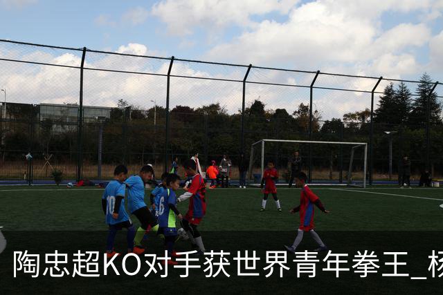 陶忠超KO对手获世界青年拳王 杨永强苦胜越老将