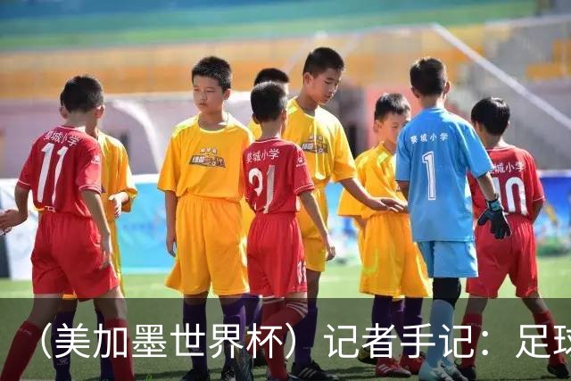 （美加墨世界杯）记者手记：足球在美国，熟悉又陌生